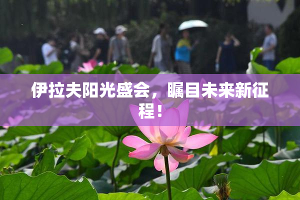 伊拉夫阳光盛会，瞩目未来新征程！
