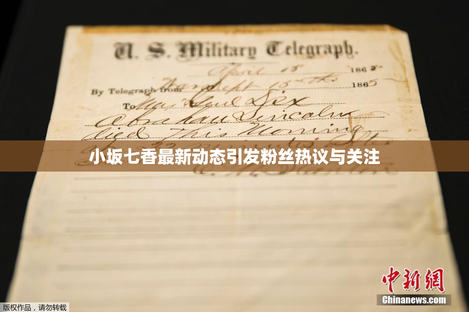 小坂七香最新动态引发粉丝热议与关注