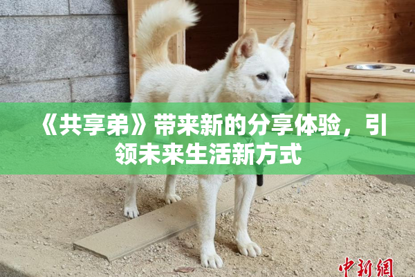 《共享弟》带来新的分享体验，引领未来生活新方式