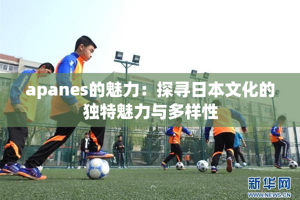 apanes的魅力：探寻日本文化的独特魅力与多样性