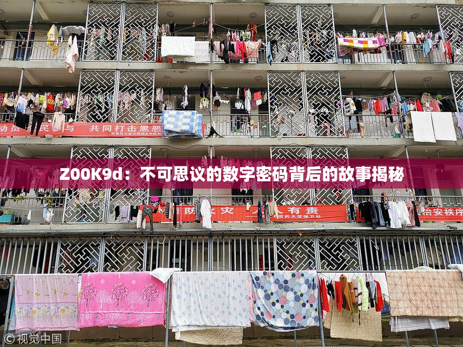 Z00K9d：不可思议的数字密码背后的故事揭秘