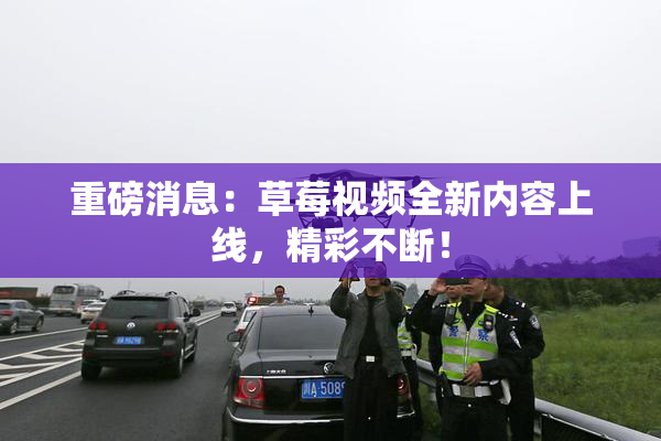 重磅消息：草莓视频全新内容上线，精彩不断！