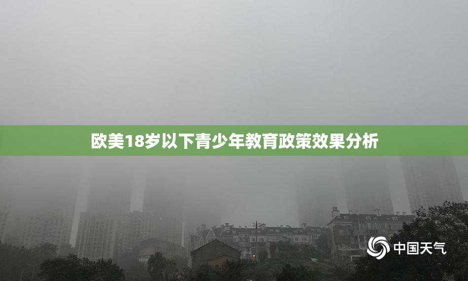 欧美18岁以下青少年教育政策效果分析