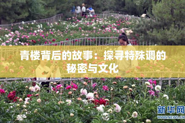 青楼背后的故事：探寻特殊调的秘密与文化