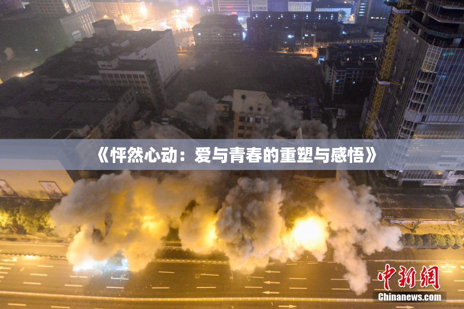 《怦然心动：爱与青春的重塑与感悟》