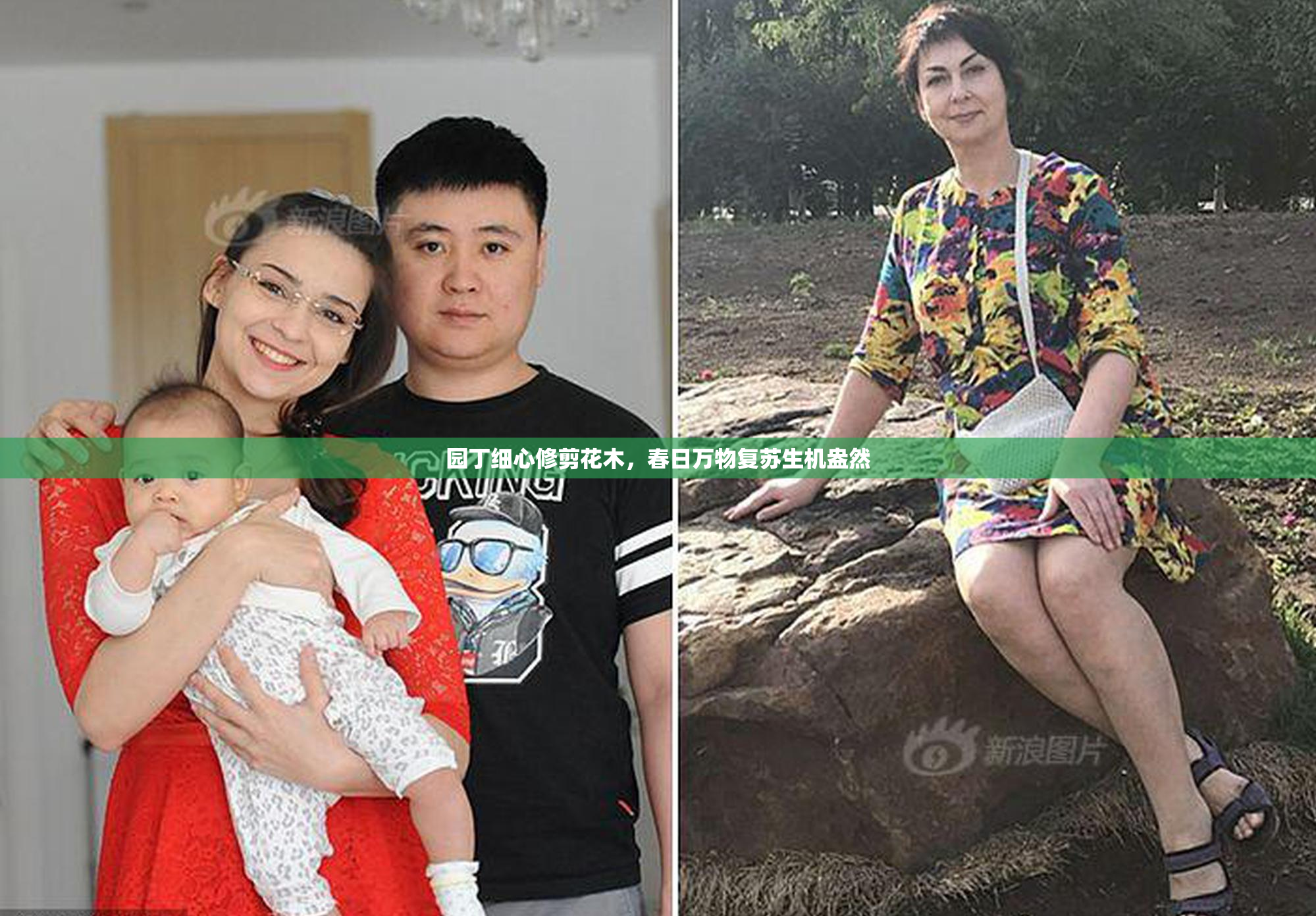 园丁细心修剪花木，春日万物复苏生机盎然