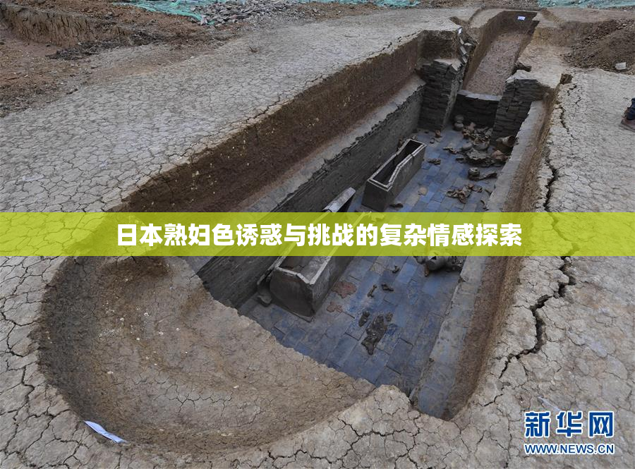 日本熟妇色诱惑与挑战的复杂情感探索