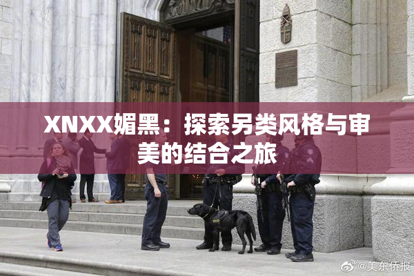 XNXX媚黑：探索另类风格与审美的结合之旅