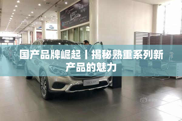 国产品牌崛起丨揭秘熟重系列新产品的魅力