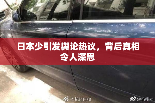日本少引发舆论热议，背后真相令人深思