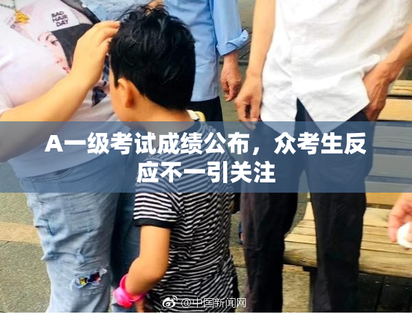 A一级考试成绩公布，众考生反应不一引关注
