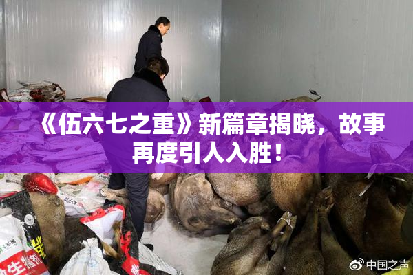 《伍六七之重》新篇章揭晓，故事再度引人入胜！