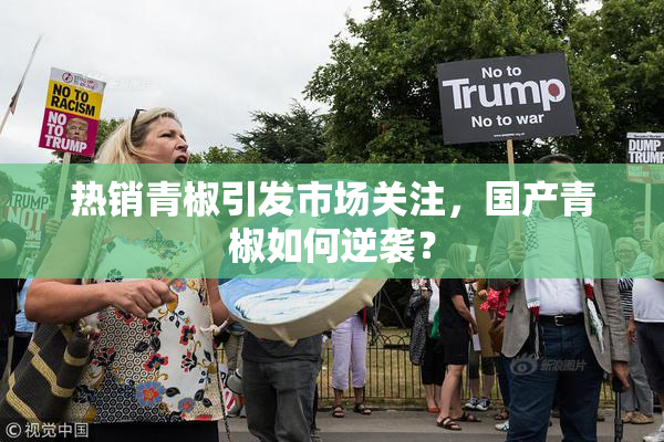热销青椒引发市场关注，国产青椒如何逆袭？