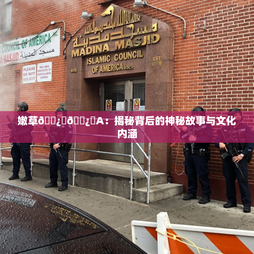 嫩草🌿‌🌿‌A：揭秘背后的神秘故事与文化内涵