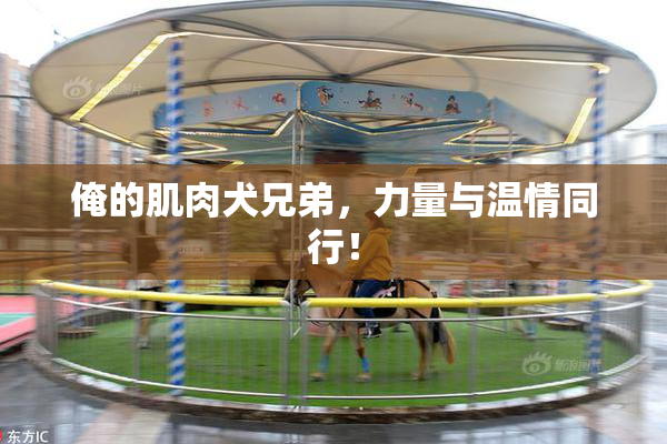 俺的肌肉犬兄弟，力量与温情同行！