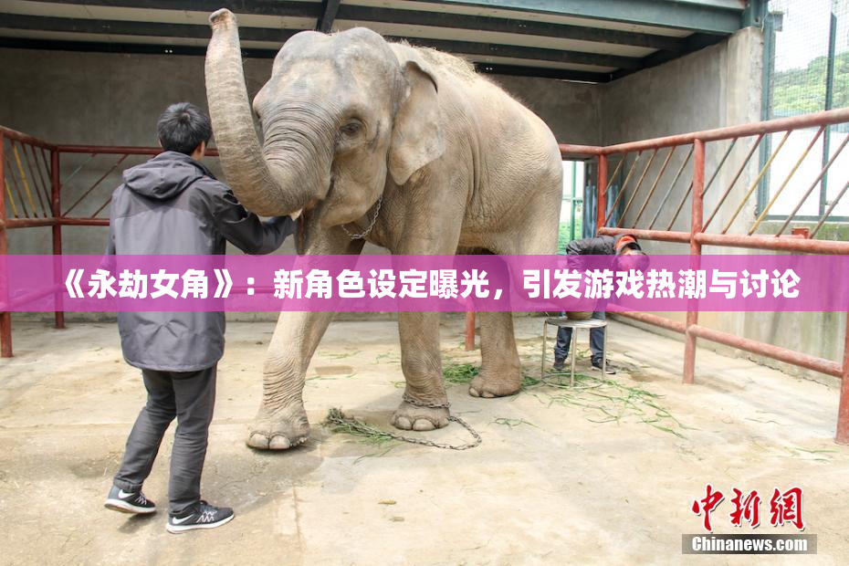 《永劫女角》：新角色设定曝光，引发游戏热潮与讨论