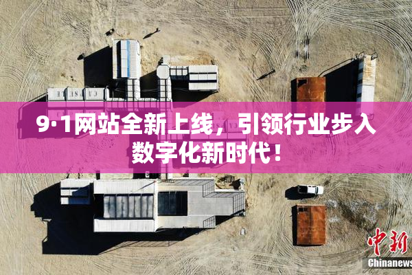 9·1网站全新上线，引领行业步入数字化新时代！