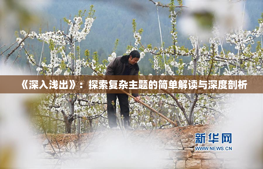 《深入浅出》：探索复杂主题的简单解读与深度剖析