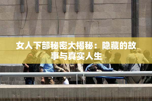 女人下部秘密大揭秘：隐藏的故事与真实人生