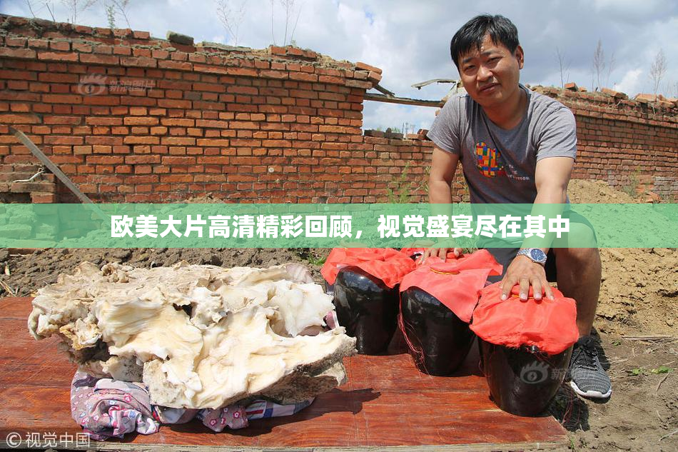欧美大片高清精彩回顾，视觉盛宴尽在其中