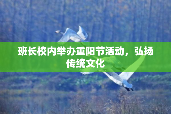 班长校内举办重阳节活动，弘扬传统文化