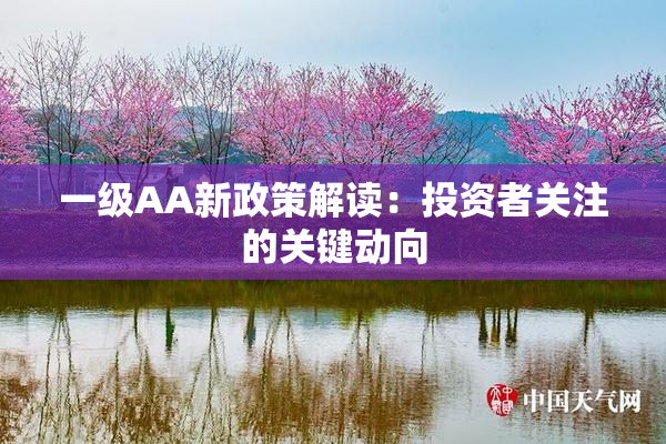 一级AA新政策解读：投资者关注的关键动向