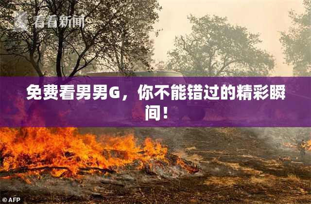 免费看男男G，你不能错过的精彩瞬间！