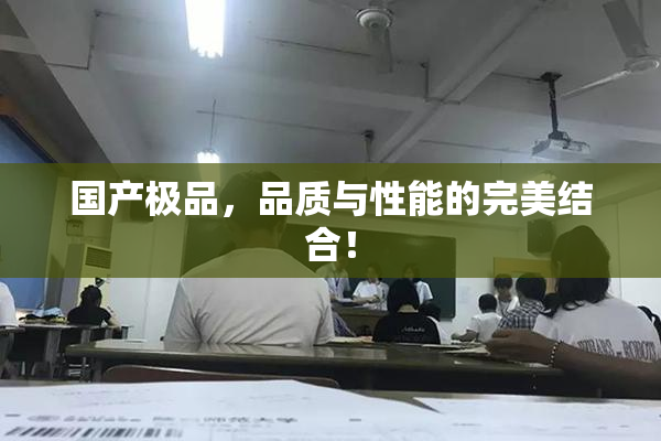 国产极品，品质与性能的完美结合！