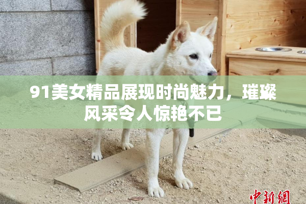 91美女精品展现时尚魅力，璀璨风采令人惊艳不已