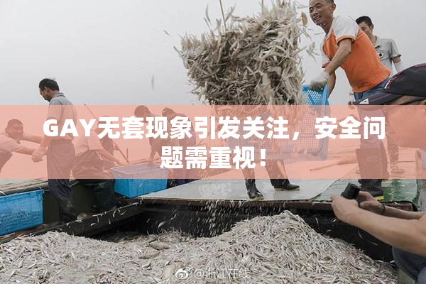 GAY无套现象引发关注，安全问题需重视！