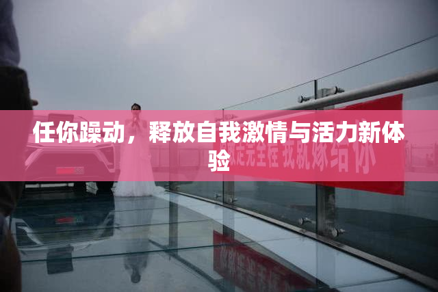 任你躁动，释放自我激情与活力新体验