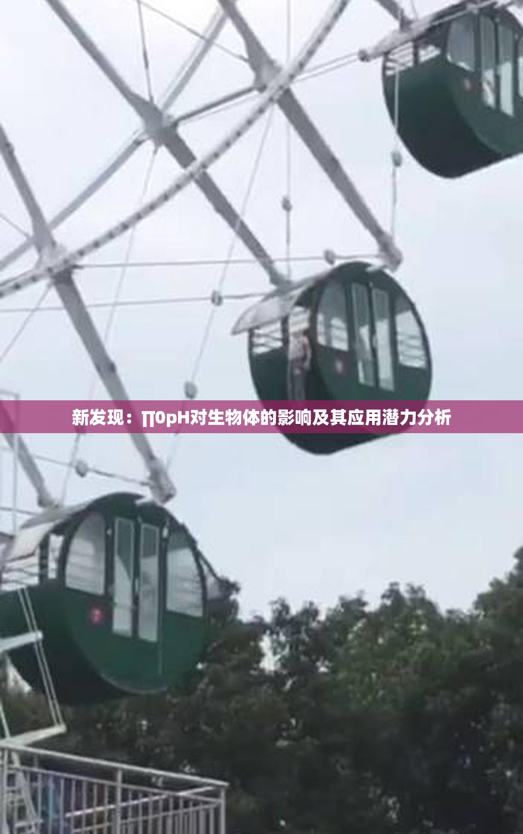 新发现：∏0pH对生物体的影响及其应用潜力分析