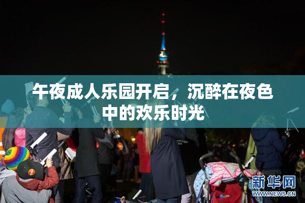 午夜成人乐园开启，沉醉在夜色中的欢乐时光