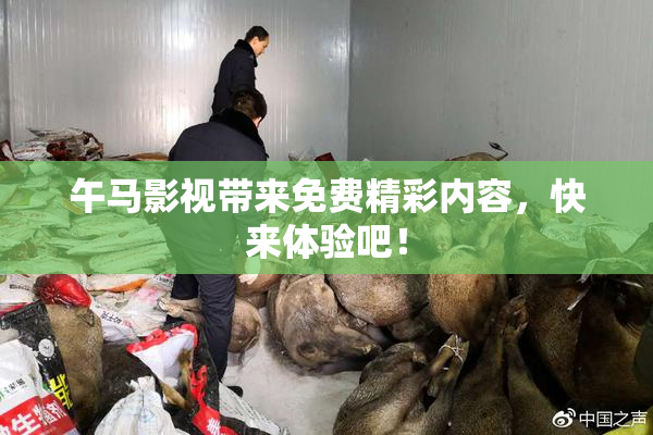 午马影视带来免费精彩内容，快来体验吧！