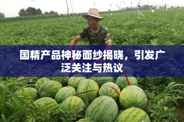 国精产品神秘面纱揭晓，引发广泛关注与热议