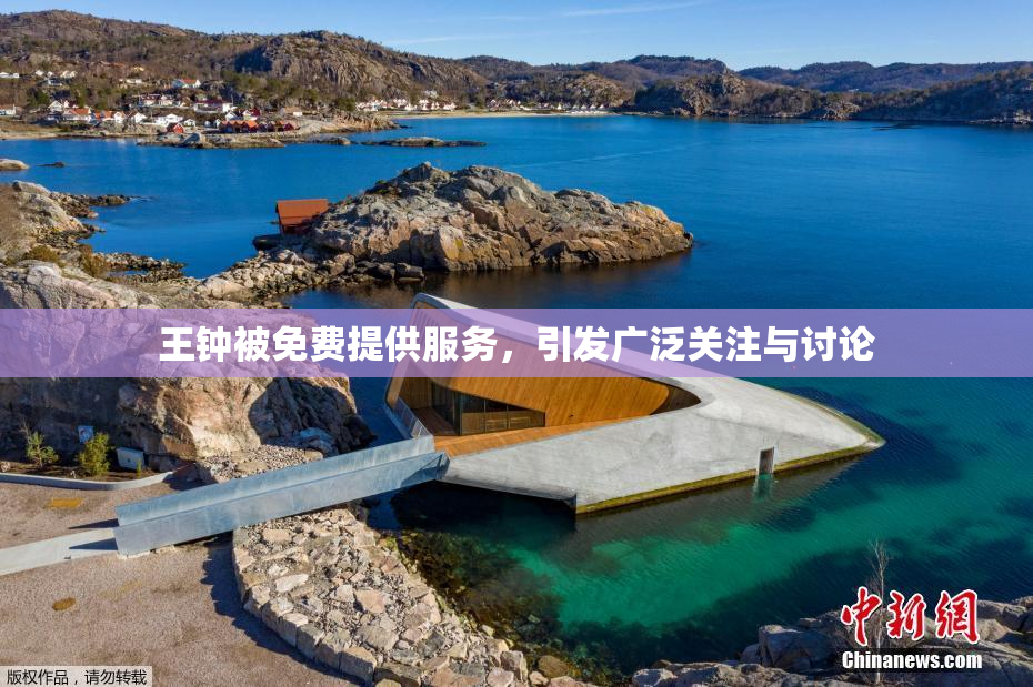 王钟被免费提供服务，引发广泛关注与讨论
