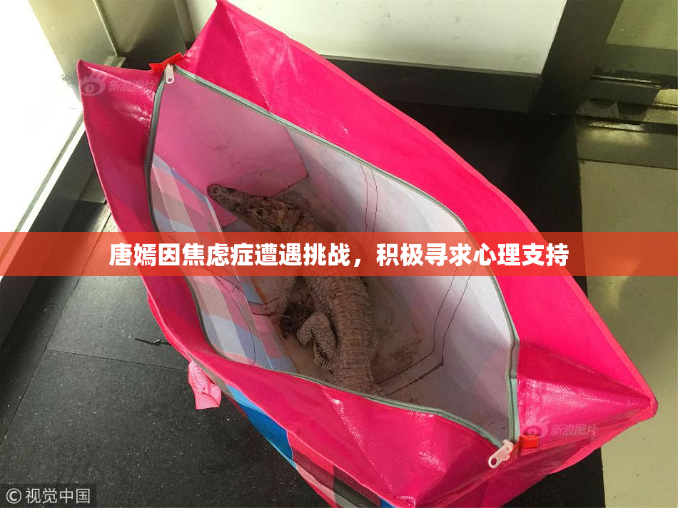 唐嫣因焦虑症遭遇挑战，积极寻求心理支持