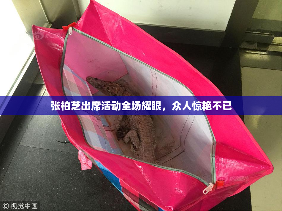 张柏芝出席活动全场耀眼，众人惊艳不已