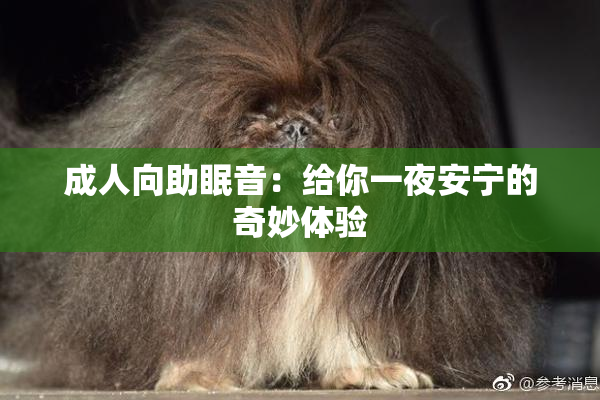 成人向助眠音：给你一夜安宁的奇妙体验
