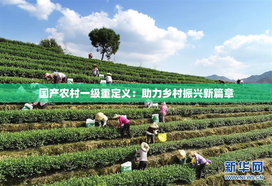国产农村一级重定义：助力乡村振兴新篇章