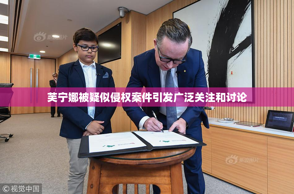芙宁娜被疑似侵权案件引发广泛关注和讨论