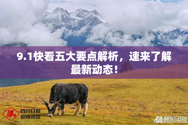 9.1快看五大要点解析，速来了解最新动态！