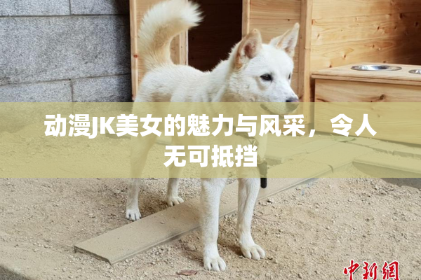 动漫JK美女的魅力与风采，令人无可抵挡
