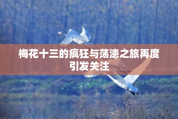 梅花十三的疯狂与荡漶之旅再度引发关注
