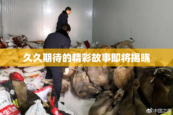 久久期待的精彩故事即将揭晓