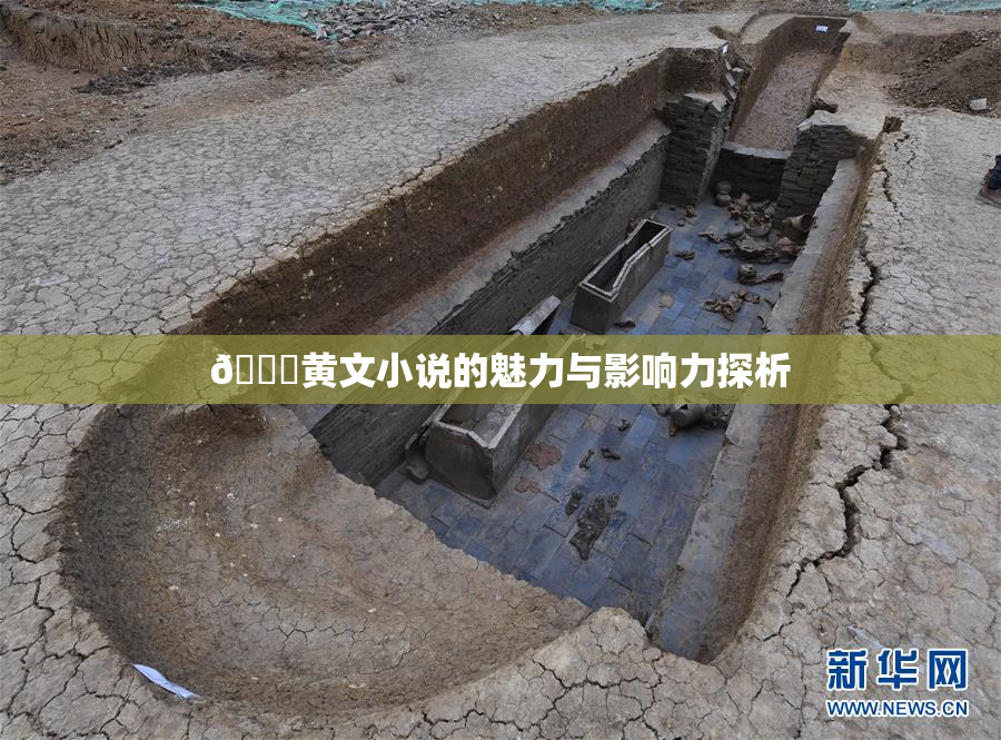 🔞黄文小说的魅力与影响力探析
