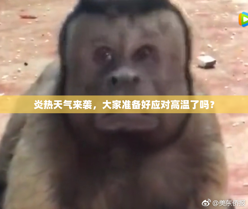 炎热天气来袭，大家准备好应对高温了吗？