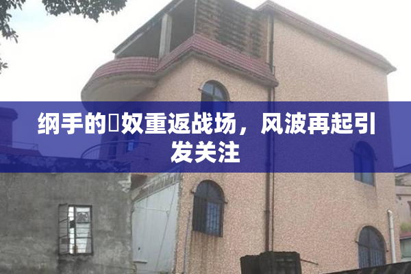 纲手的婬奴重返战场，风波再起引发关注