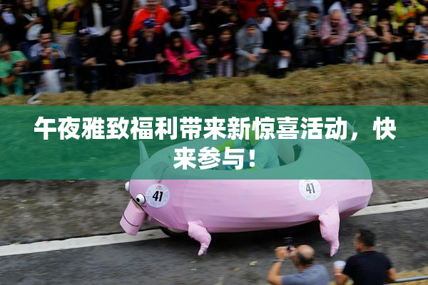 午夜雅致福利带来新惊喜活动，快来参与！
