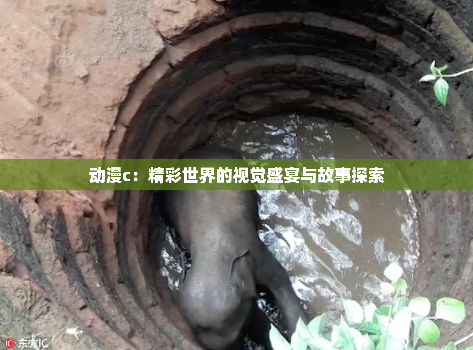 动漫c：精彩世界的视觉盛宴与故事探索
